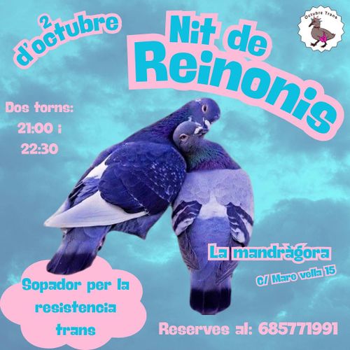 Nit de Reinonis