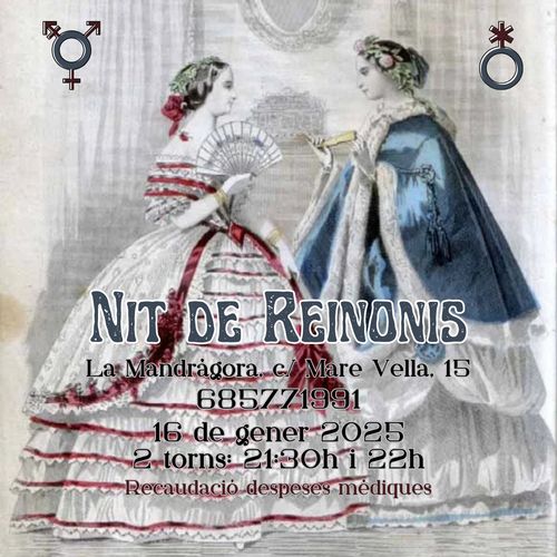 Nit de Reinonis