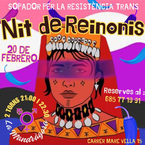 Nit de reinonis