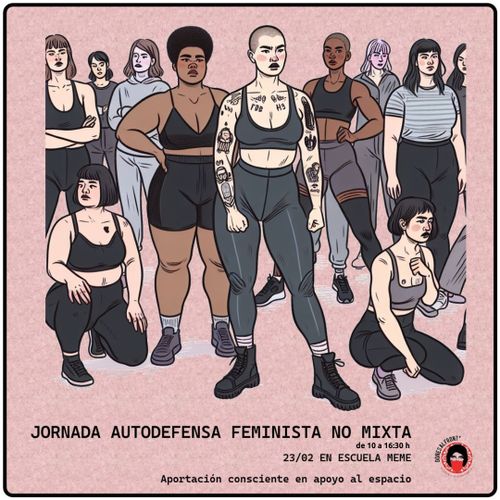 Jornadas autodefensa feminista NO MIXTA