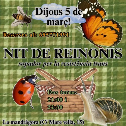 Nit de Reinonis