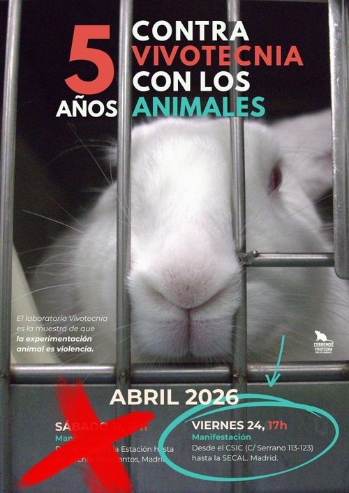 Convocatoria "5 años contra Vivotecnia, 5 años con los animales"