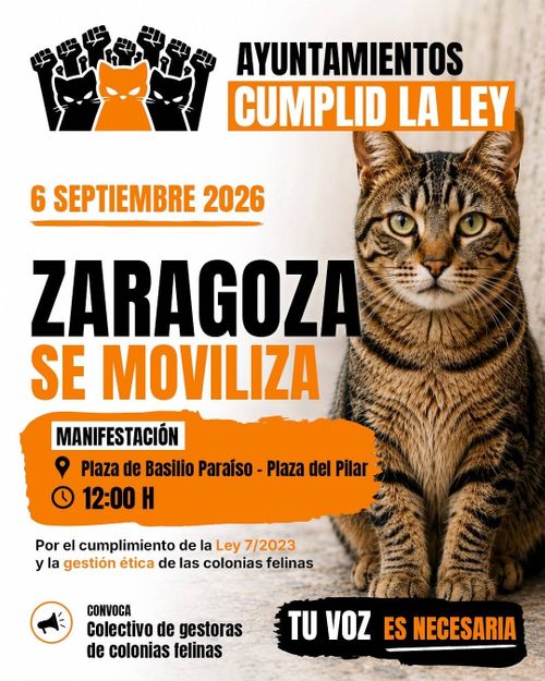 Manifestación por la gestión etica de las colonias felinas 