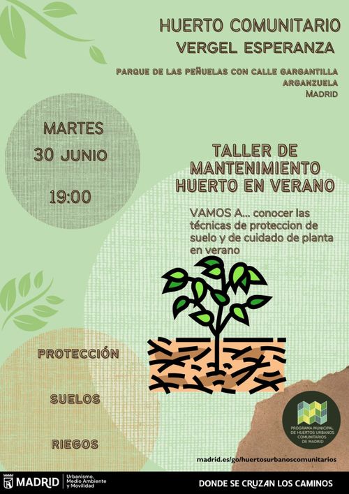 Taller de huerto de verano