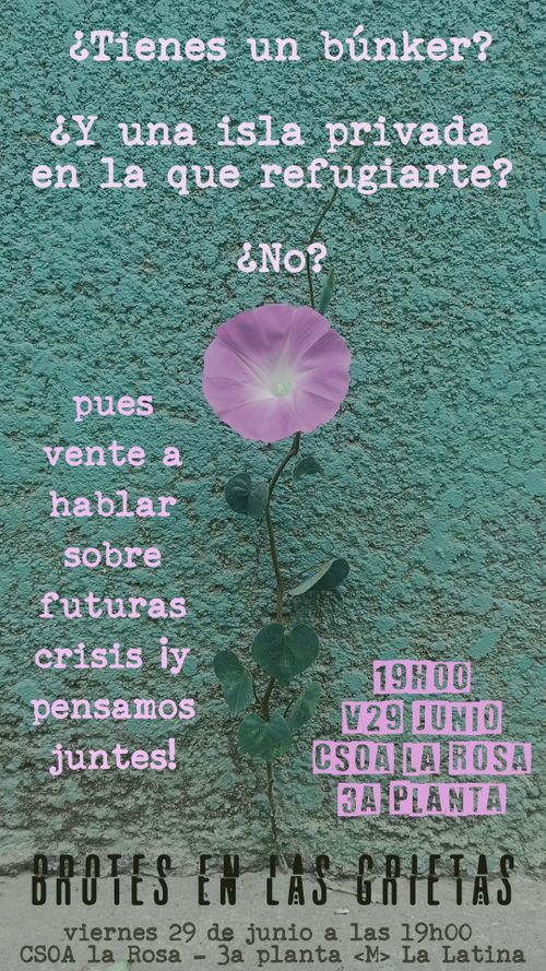 brotes en las grietas