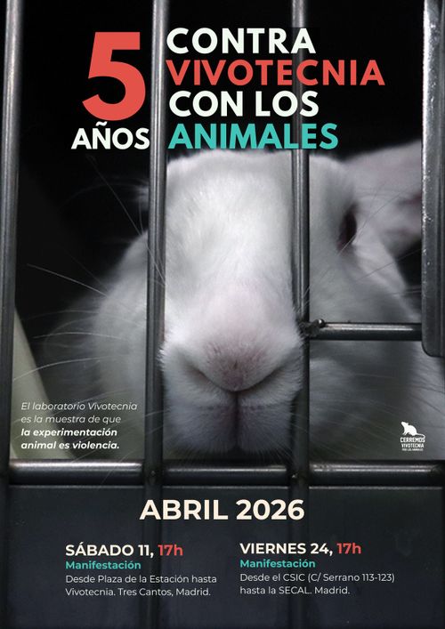 Convocatoria «5 años contra Vivotecnia 5 años con los animales»