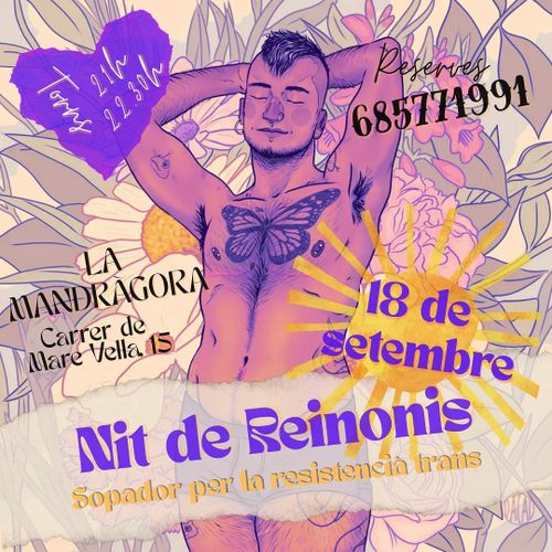 Nit de Reinonis