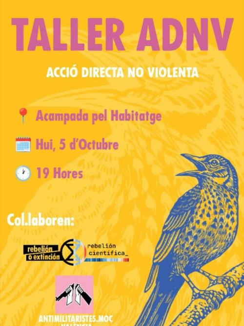 Taller d'Acció Directa no Violenta
