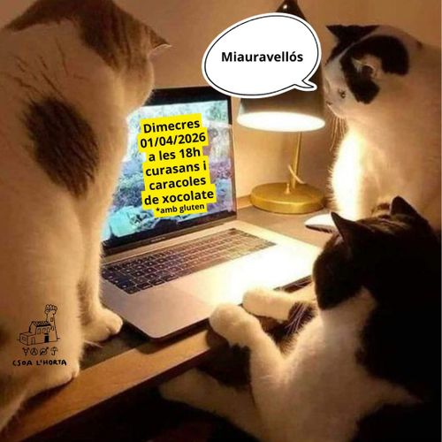 TALLER DE PASTISSERIA VEGANA