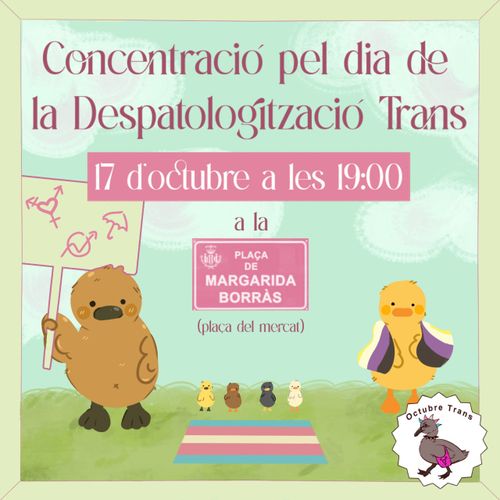 Concentració per la despatologització trans