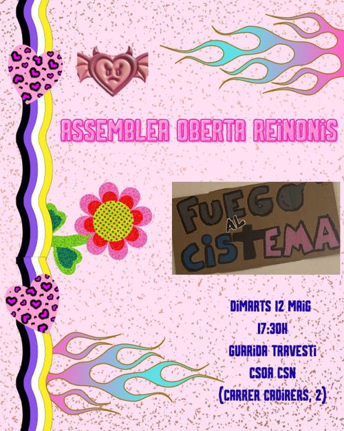 Assemblea oberta de Reinonis