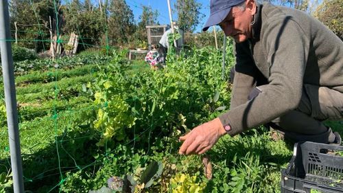 Portes Obertes a Sa Llavanera