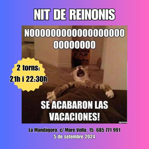 Sopador Nit de Reinonis