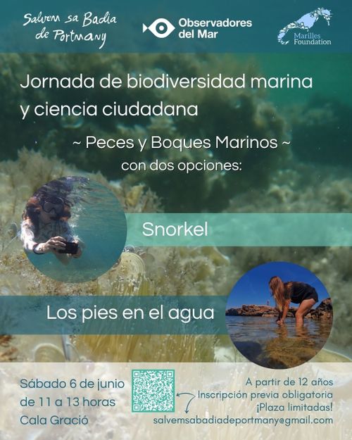 Jornada de Biodiversidad Marina de Cala Gració