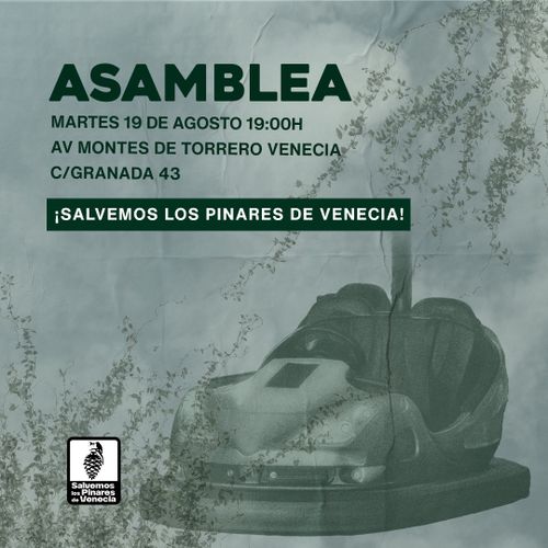 Asamblea Salvemos los pinares de Venecia