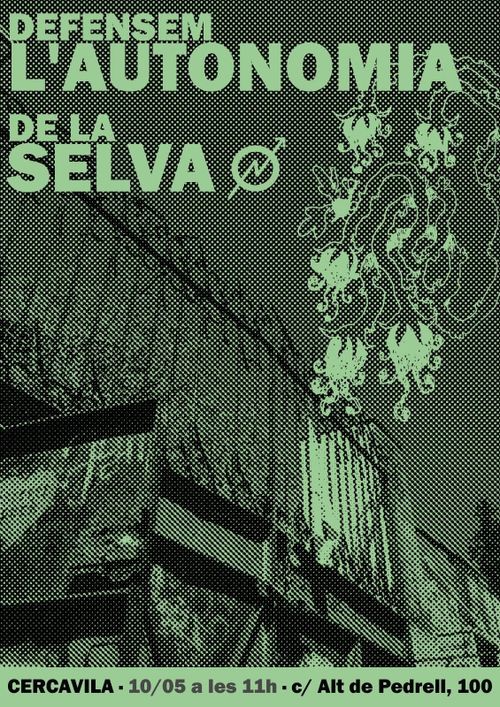 Cartell en verd i negre. Una foto de la reixa de la selva a 1 color tramada per fer escales de fosc-color. Posa: Defensem l'autonomia de la Selva (símbol okupa)