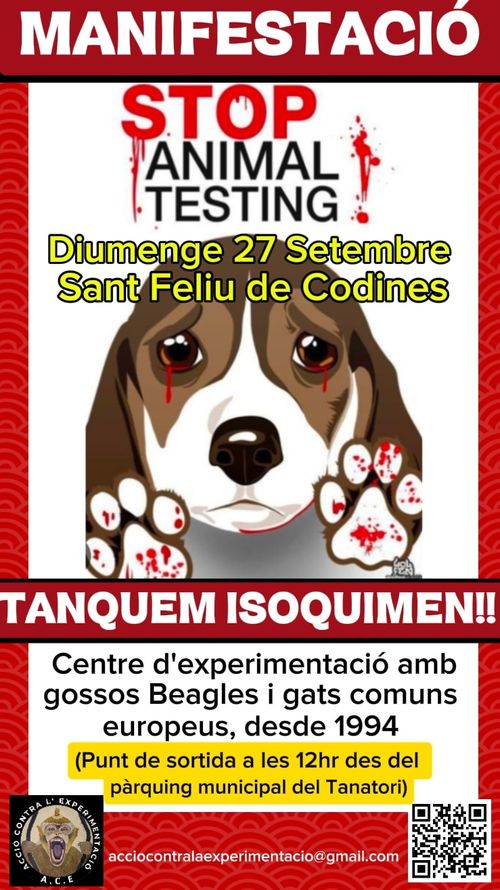  17a Protesta contra Isoquimen