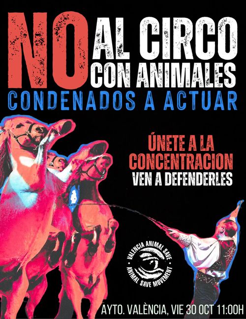 Acción contra el circo con animales