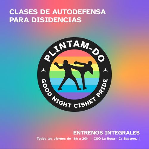 PLINTAM-Do: autodefensa queer